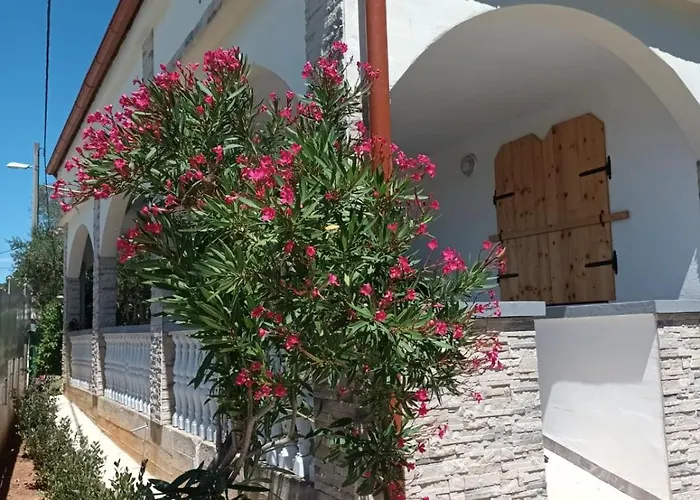 Vts Apartman Posedarje